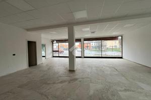 NEGOZIO A SISSA TRECASALI