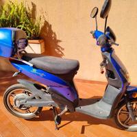 Bicicletta a pedalata assistita (EPAC)