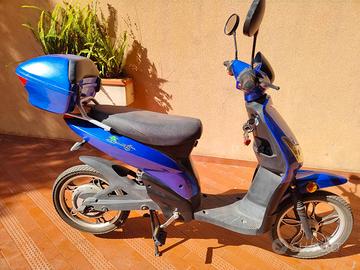 Bicicletta a pedalata assistita (EPAC)