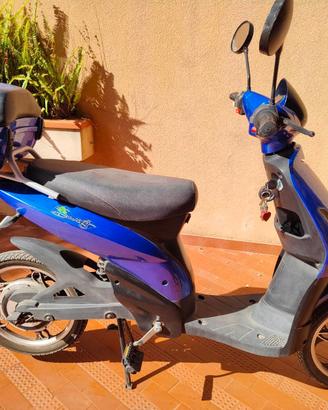 Bicicletta a pedalata assistita (EPAC)