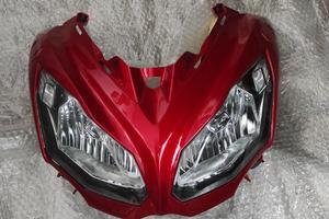 Cupolino Kawasaki er6f 2015