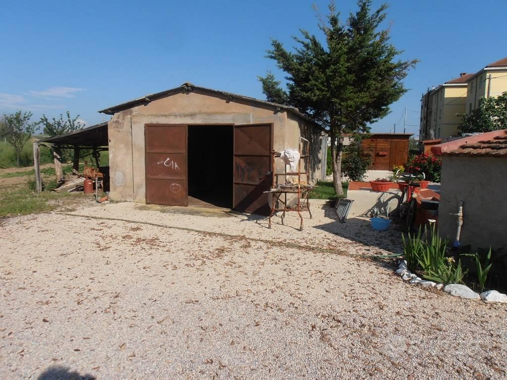 Rif.AA-T34| terreno agricolo campiglia marittima - Vista 3