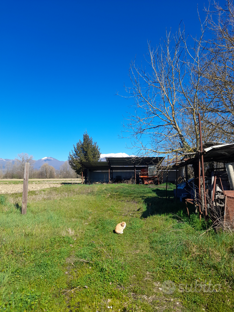 Vende terreno - Altro
