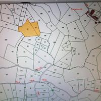 Terreno con bosco per legna da ardere