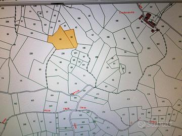 Terreno con bosco per legna da ardere
