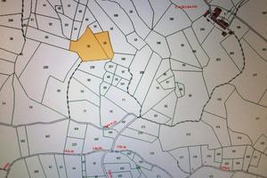 Terreno con bosco per legna da ardere