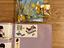 Immagine 5