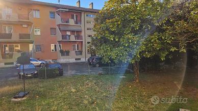 Disponibile da subito stanza singola Bologna