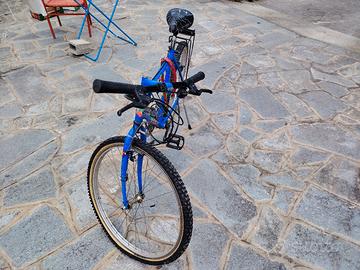 Mountain bike 