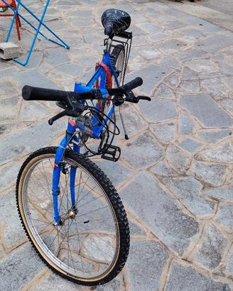 Mountain bike 