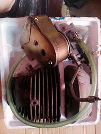 Vespa primavera 