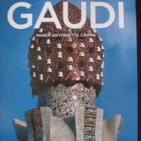 Gaudì - Taschen Copertina Flex