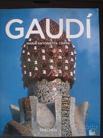 Gaudì - Taschen Copertina Flex