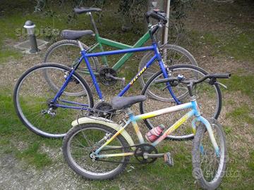 Bicicletta biciclette 5 bici 100