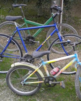 Bicicletta biciclette 5 bici 100