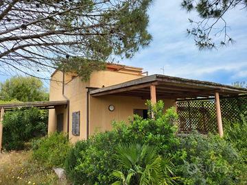 RGE 117/2024 Trib Tempio Pausania