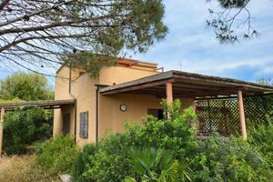 RGE 117/2024 Trib Tempio Pausania