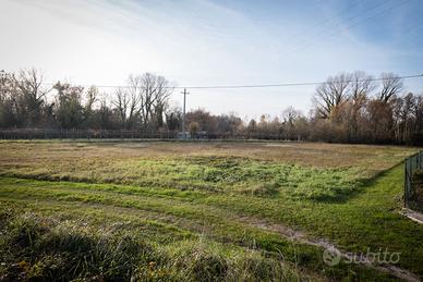 Terreno edificabile immerso nel verde