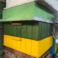 Arnie e attrezzatura x api