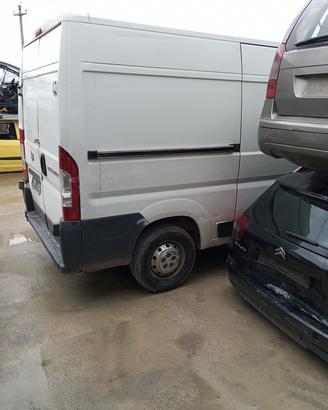 Fiat ducato 2010-2025 scocca per taglio lamiera