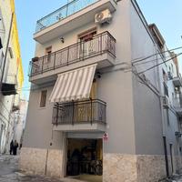 INDIPENDENTE CON BOX, TERRAZZO e MONOLOCALE