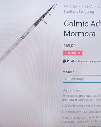 canna da surf casting