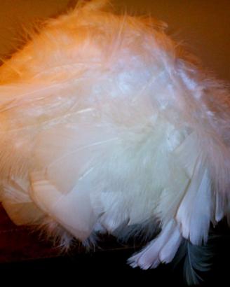 Rétro e altro Arredo Oggetti Vintage