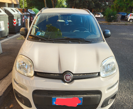 AA Fiat Panda Easy Power Easy 1.2 GPL euro 6