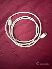 Apple cavo usb c originale