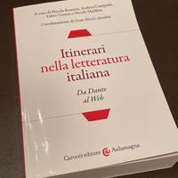Itinerari nella letteratura italiana carocci