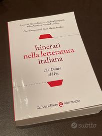 Itinerari nella letteratura italiana carocci
