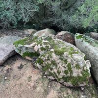 Monoliti e pietre da giardino