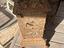 Immagine 3