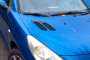 Automobile Peugeut 206 plus
