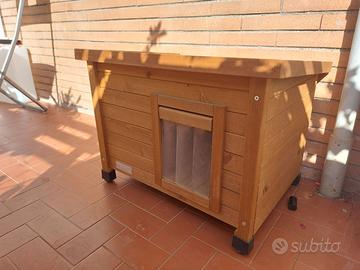 casetta per gatti