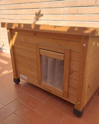 casetta per gatti
