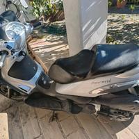 Scooter Beverly 500