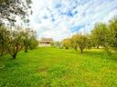 ter-residenziale-a-roma