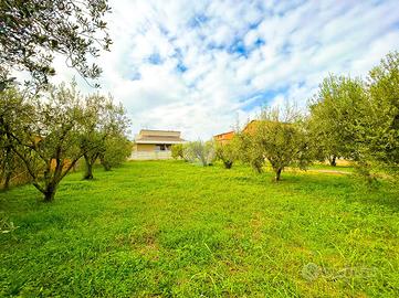 TER. RESIDENZIALE A ROMA