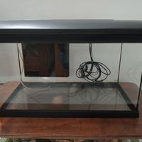 acquario 60 litri