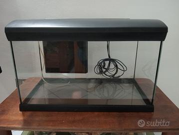 acquario 60 litri