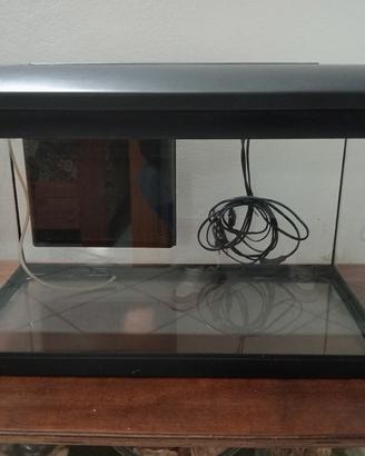 acquario 60 litri