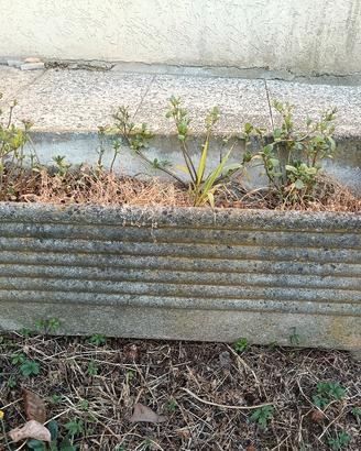 vasi fioriere da giardino in cemento 