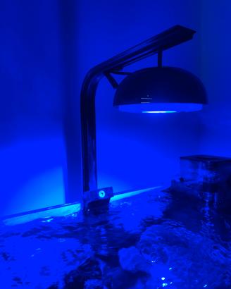 Plafonera led acquario Cetus 2