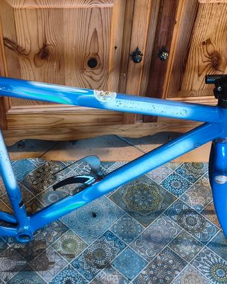 telaio Pinarello Paris