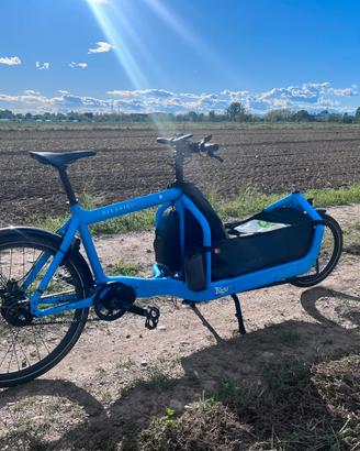 Cargo bike E-Bullitt