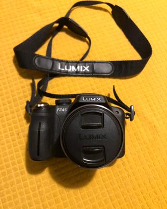 Panasonic lumix fz 45