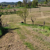 Terreno a Fano zona semicentrale