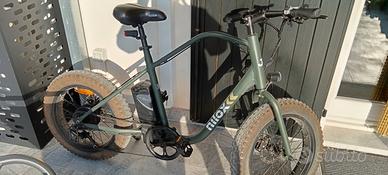bici elettrica 