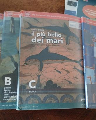 Il più bello dei mari ABC. Italiano biennio